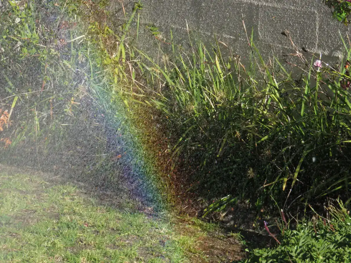 Garten mit Sprinkler